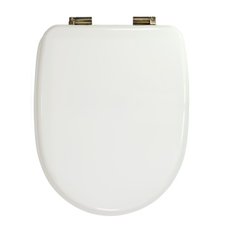 GIANETA Крышка/сиденье унитазa, с системой Microlift, цвет белый/бронза