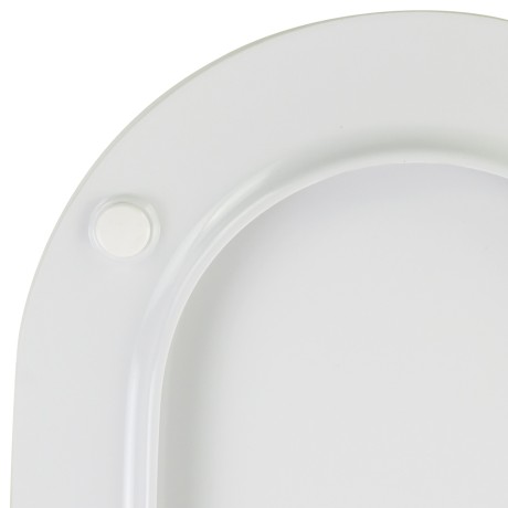 JOY  Крышка/сиденье унитаза Standart, с системой Microlift, белая, петли хром