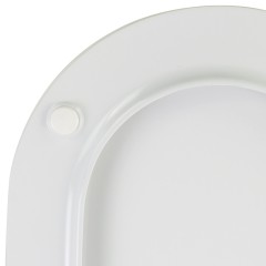 JOY  Крышка/сиденье унитаза Standart, с системой Microlift, белая, петли хром